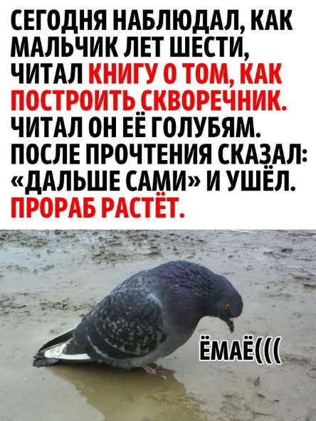 Смекалочка // https://vk.com/public222565917 (Прислал И.Л. Викентьев)