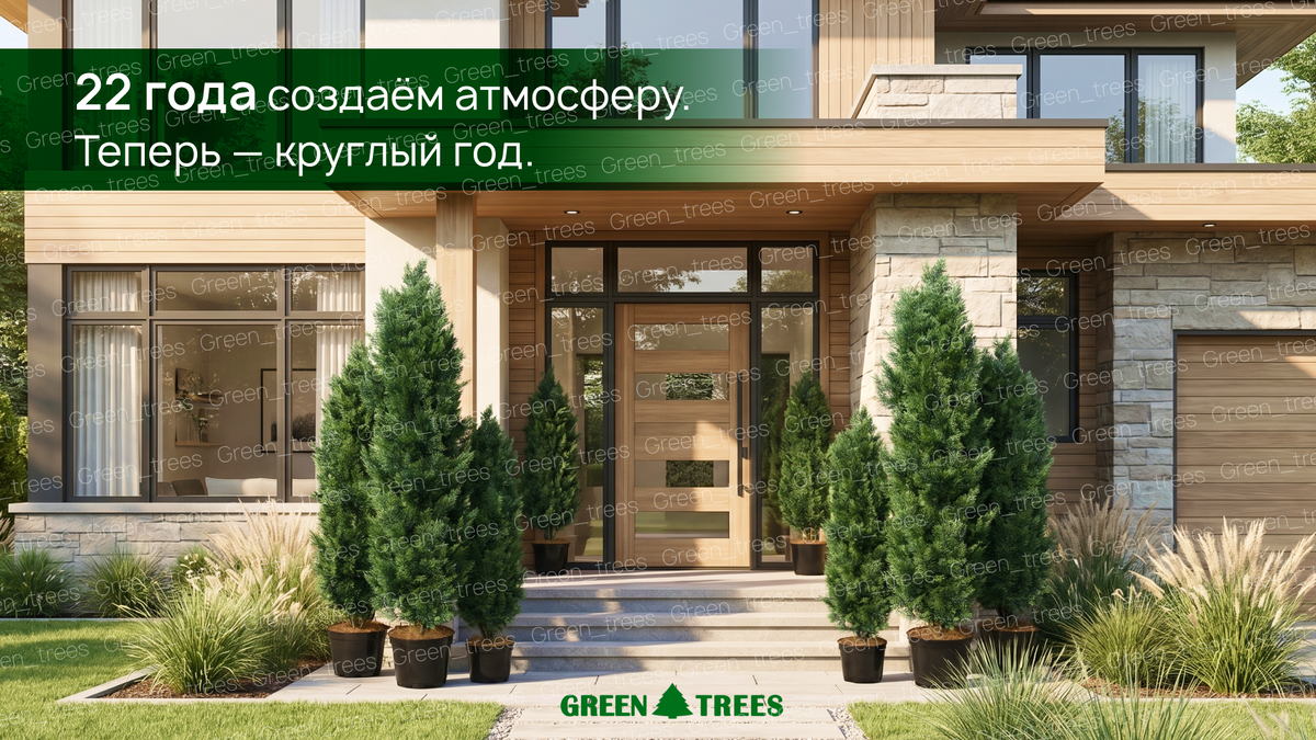Зелень, которая остаётся с вами круглый год