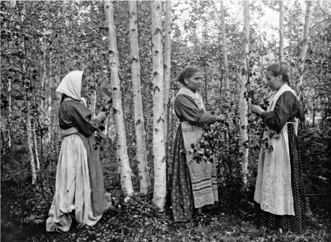 Крестьянки в березовой роще (1890-е)