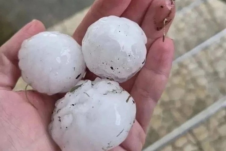    Град с куриное яйцо беспощадно уничтожил урожай клубники. Фото: соцсети