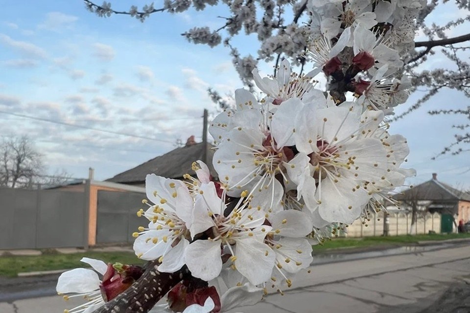    Предстоящие выходные, 16 и 17 мая, в Луганской Народной Республике пройдут при теплой, но неустойчивой погоде Валерия РАЗИНА