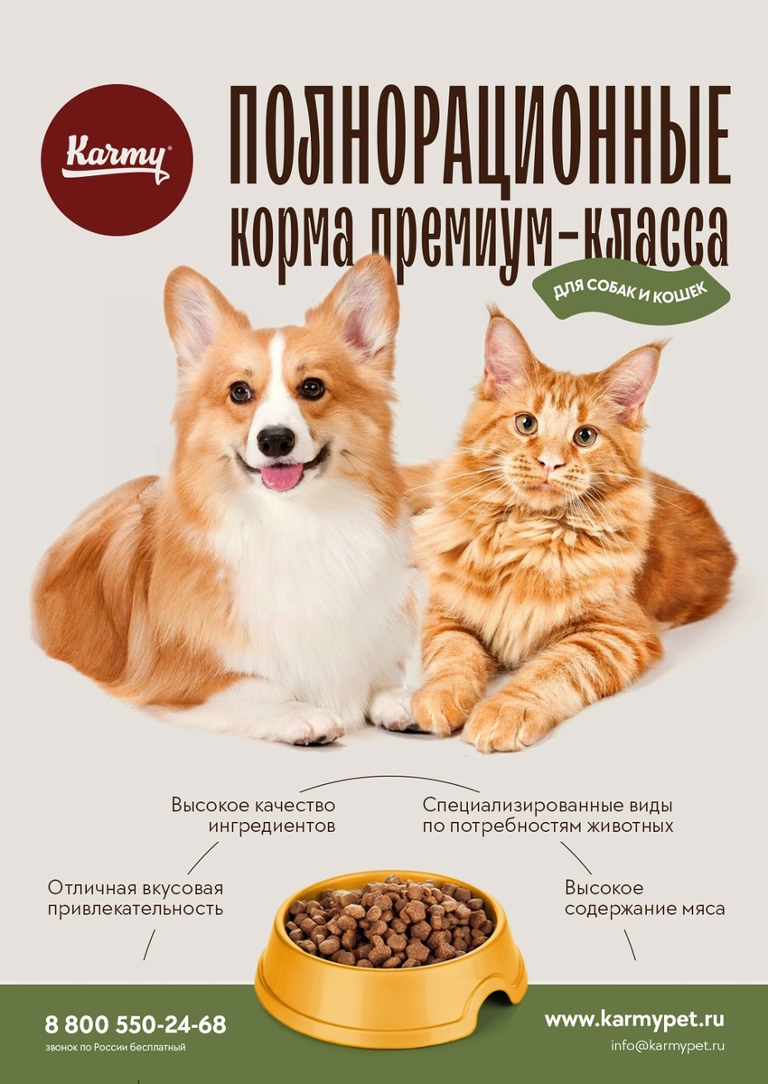 Спонсор выставки