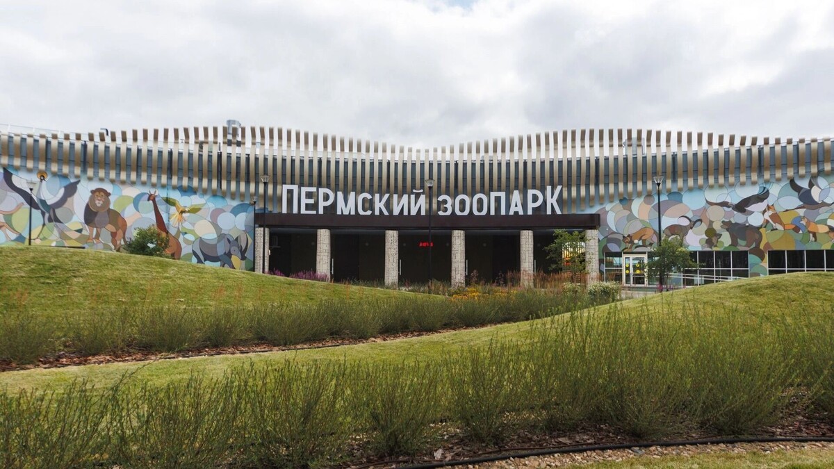   Кирилл Козлов / properm.ru