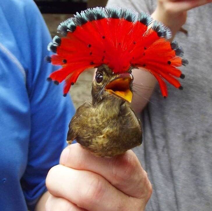    ravin.mclean