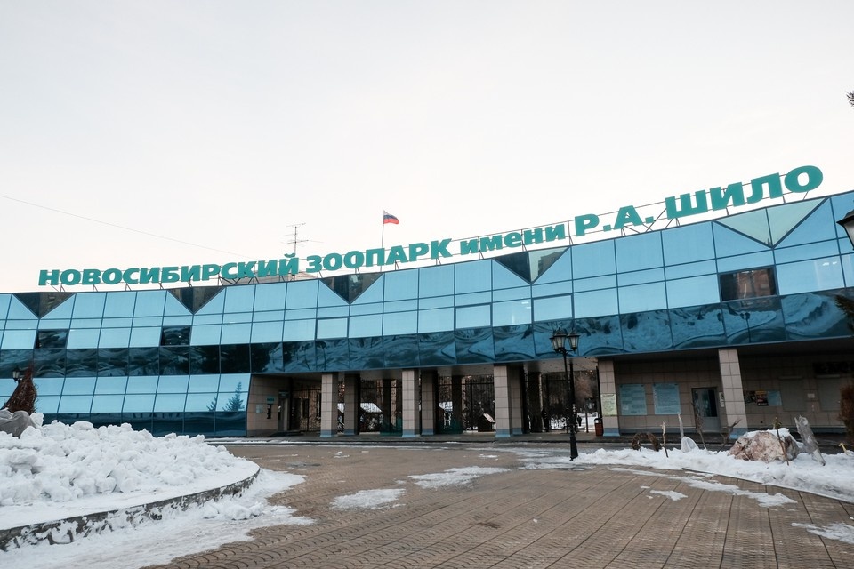    16 мая Новосибирский зоопарк вновь откроет свои двери поздним вечером для проведения "Ночи музеев". Даба ДАБАЕВ