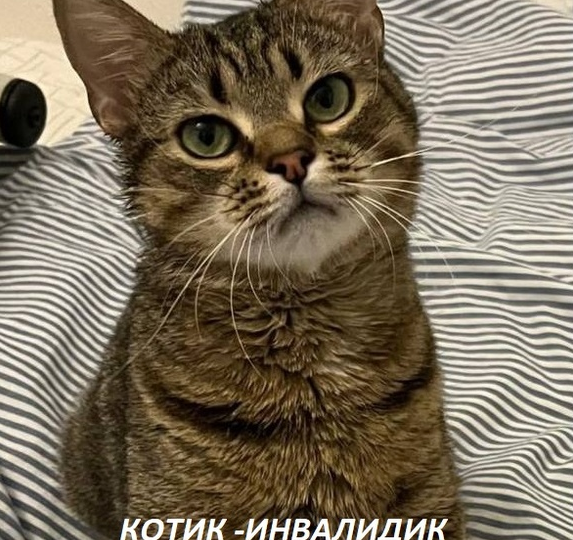 Мы не смогли их там бросить, но помощь нужна прямо сейчас 💔🐾