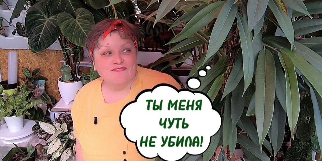 А чего молчите? Видео ждёте на выходной? 😉 Уже готово
