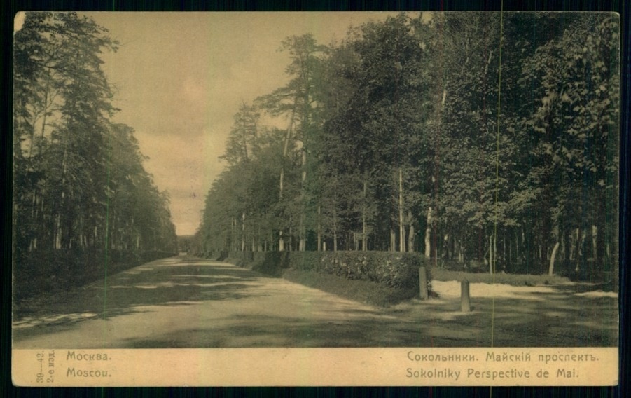 Майский просек, 1910 год. Из коллекции Государственного музея истории Санкт-Петербурга
