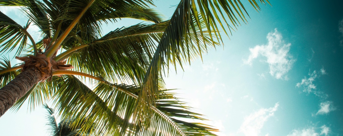 @Charly Darque/Unsplash