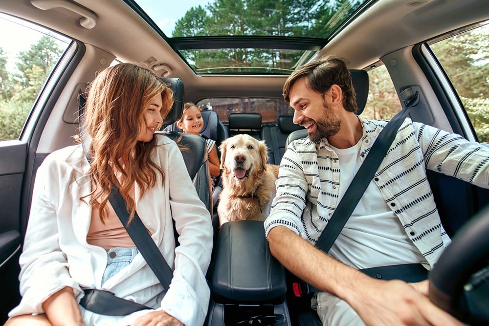    Как выбрать семейный автомобиль в 2026 году? / iStock