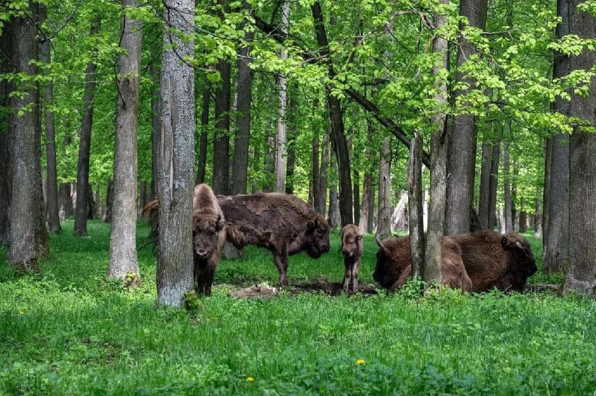    Фото: пресс-служба администрации городского округа Серпухов