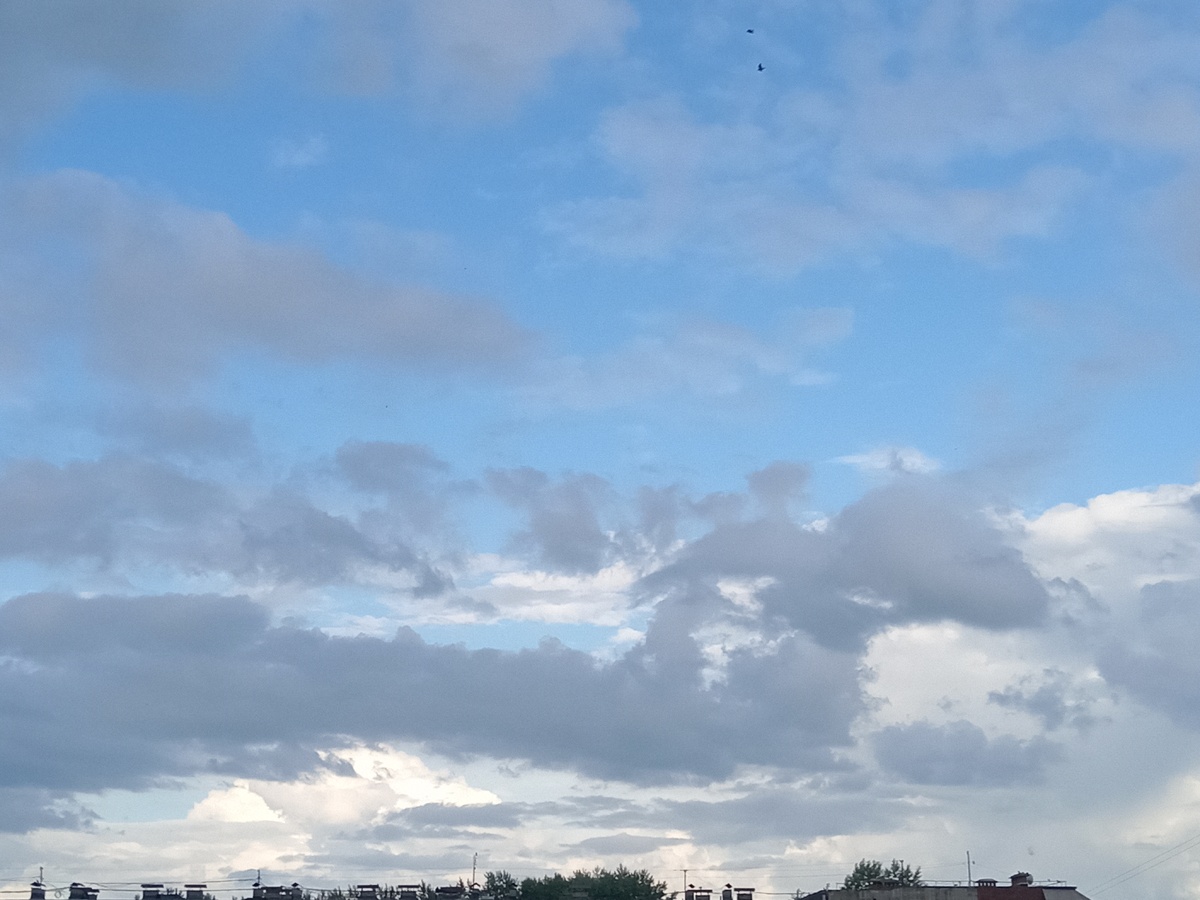 Фото из личного архива автора 