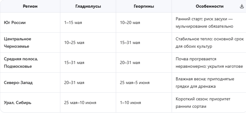 Региональная таблица сроков