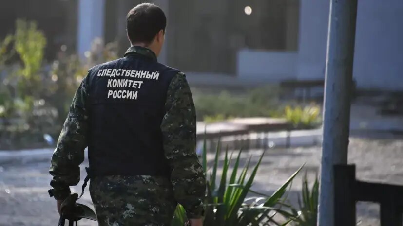   Источник: russian.rt.com Дмитрий