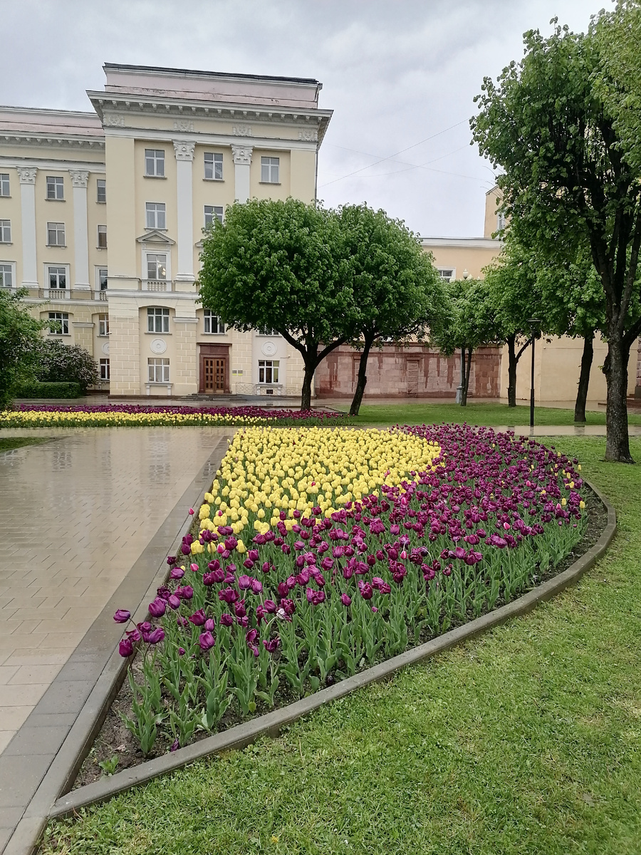 15.05.2026, Смоленск, площадь Ленина, 18.11.