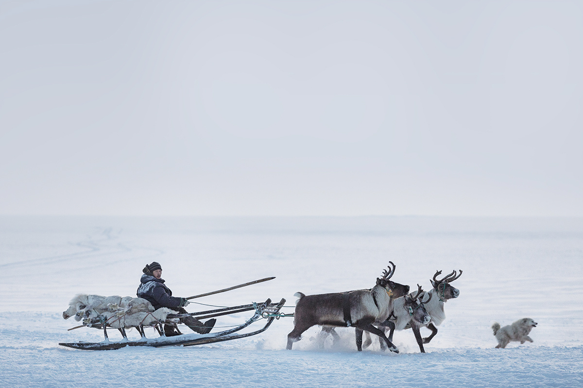 Фото: RussiaDiscovery