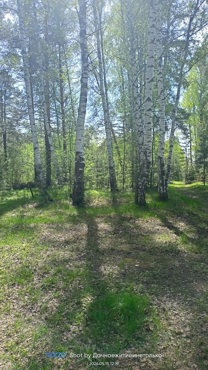 У ворот СНТ