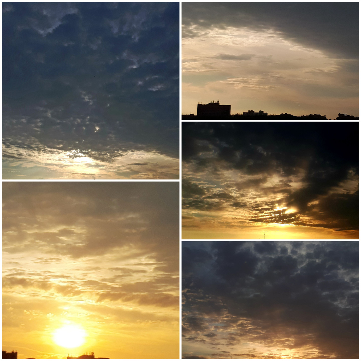 Коллаж автора 15.05.2026г.