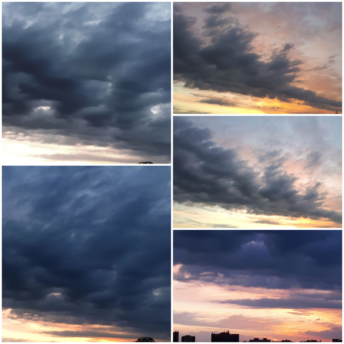 Коллаж автора 15.05.2026г.