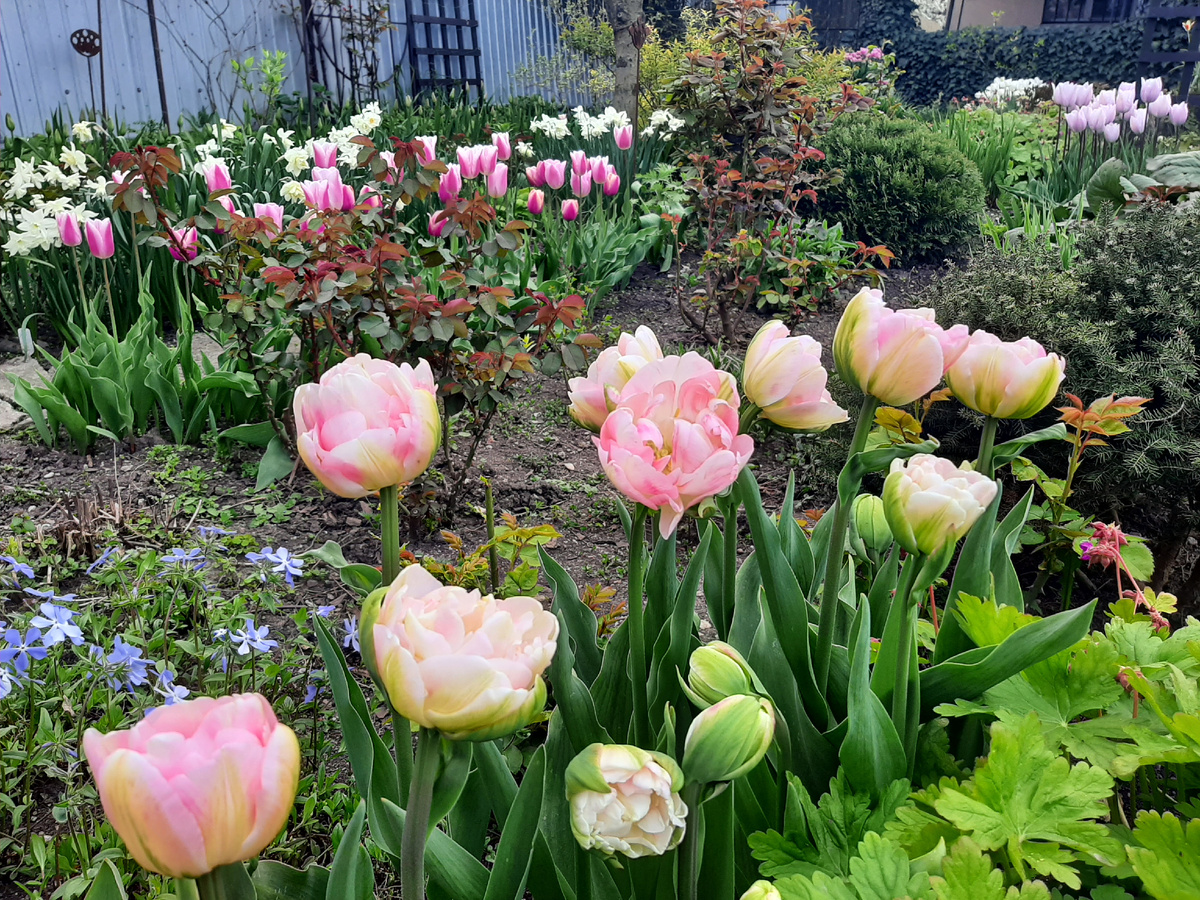 3 фото