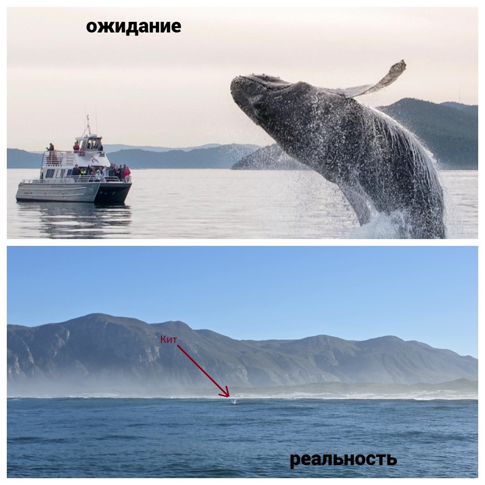 ожидание с просторов интернета/реальность из личного архива