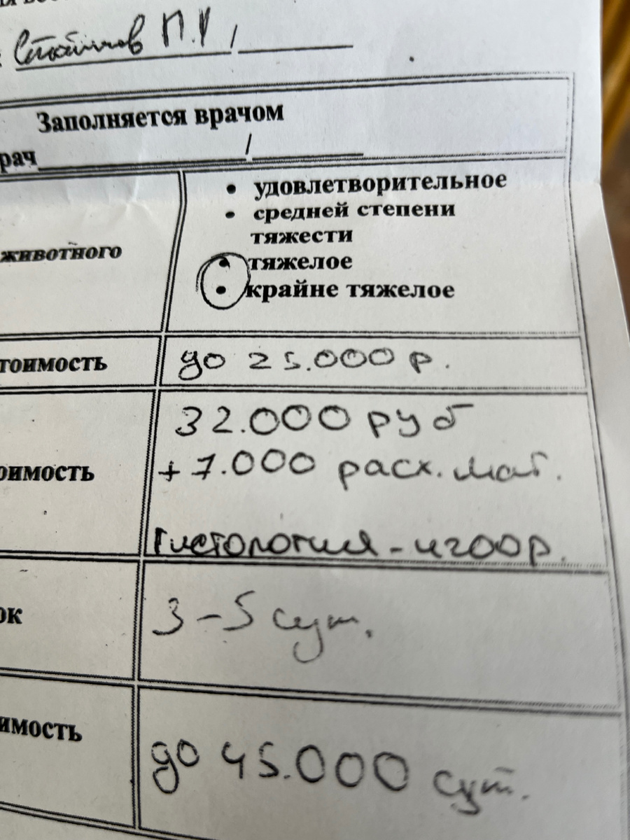 А онколога сутки назад ничего не обеспокоило