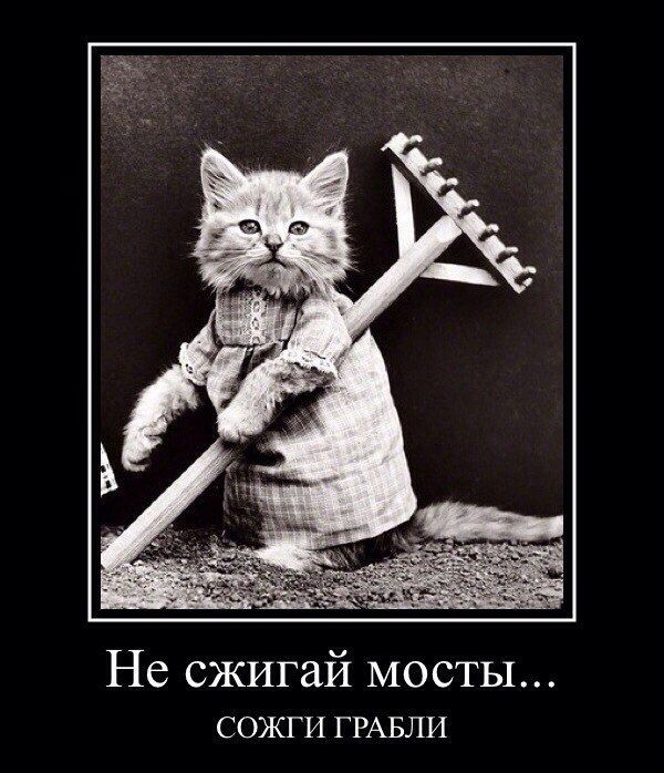 источник Яндекс-картинки