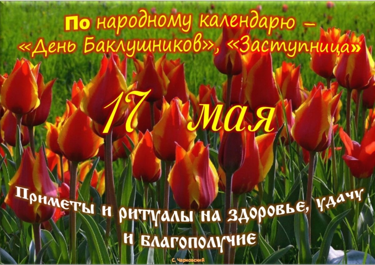 Встречаем новый день