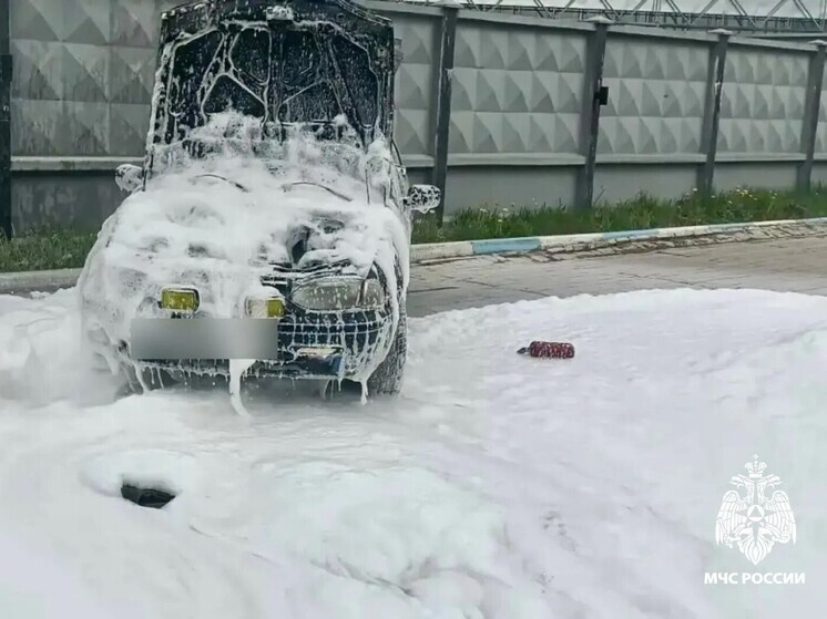     Фото: ГУ МЧС России по Тверской области