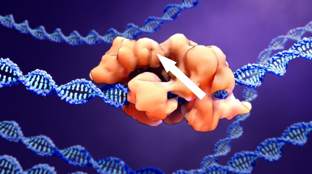    Молекулярные ножницы будущего: как CRISPR-Cas9 может вылечить 6000 генетических болезней