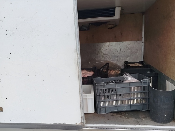     В Хакасию попытались провести больше 220 кг курицы и пельменей с нарушениями. ФОто: пресс-служба Управления Россельхознадзора по Хакасии и Тыве