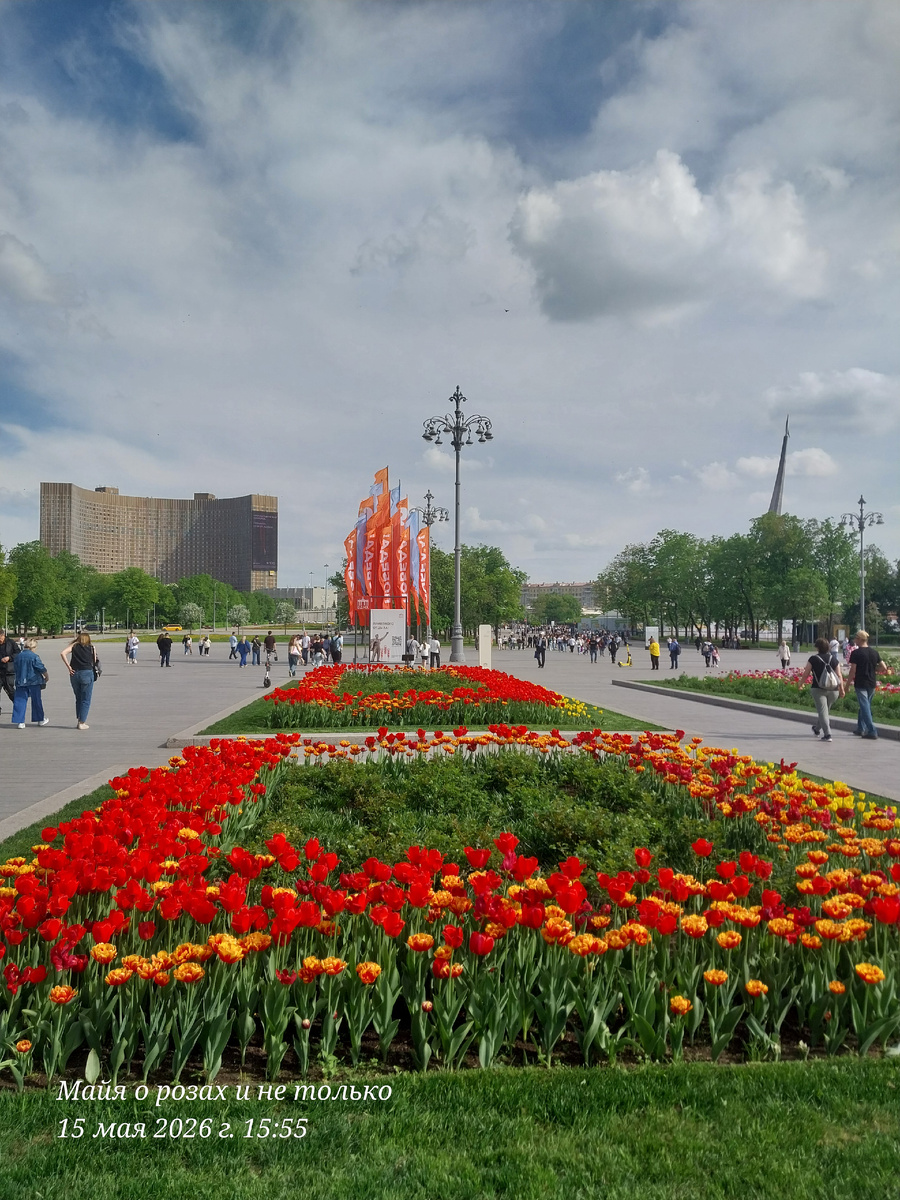 Цветут тюльпаны перед главным входом на ВДНХ 