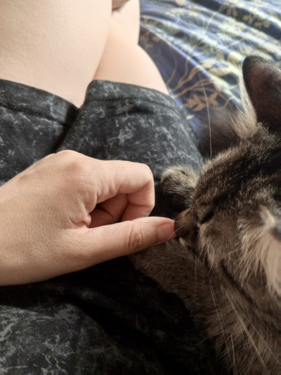 Котик по мне соскучился 🤗