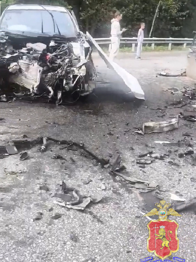     Скриншот видео УМВД Владимирской области