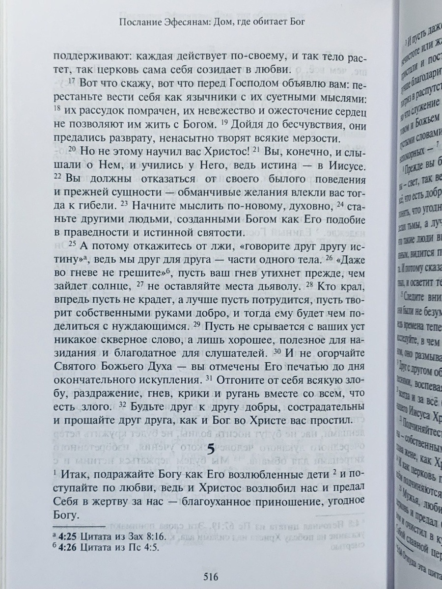 Фрагмент текста из издания: Новый Завет / пер. и коммент. А. С. Десницкого. — М.: ГРАНАТ, 2025.