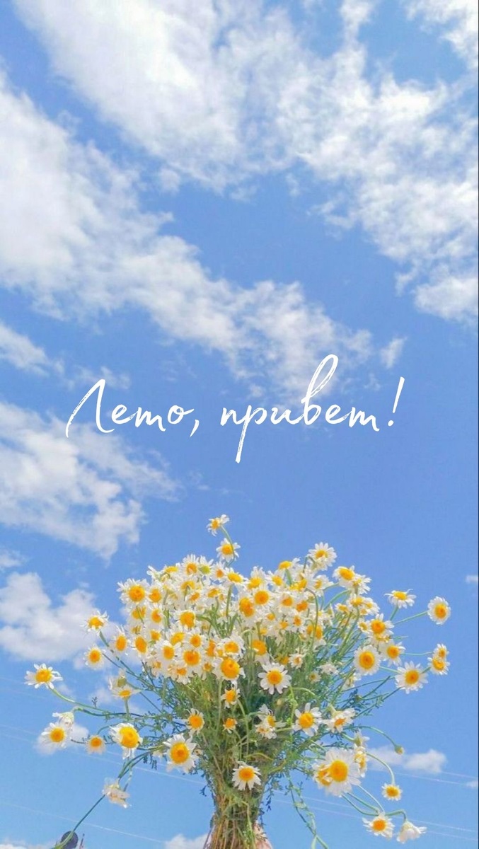 Картинка из сети Интернет 