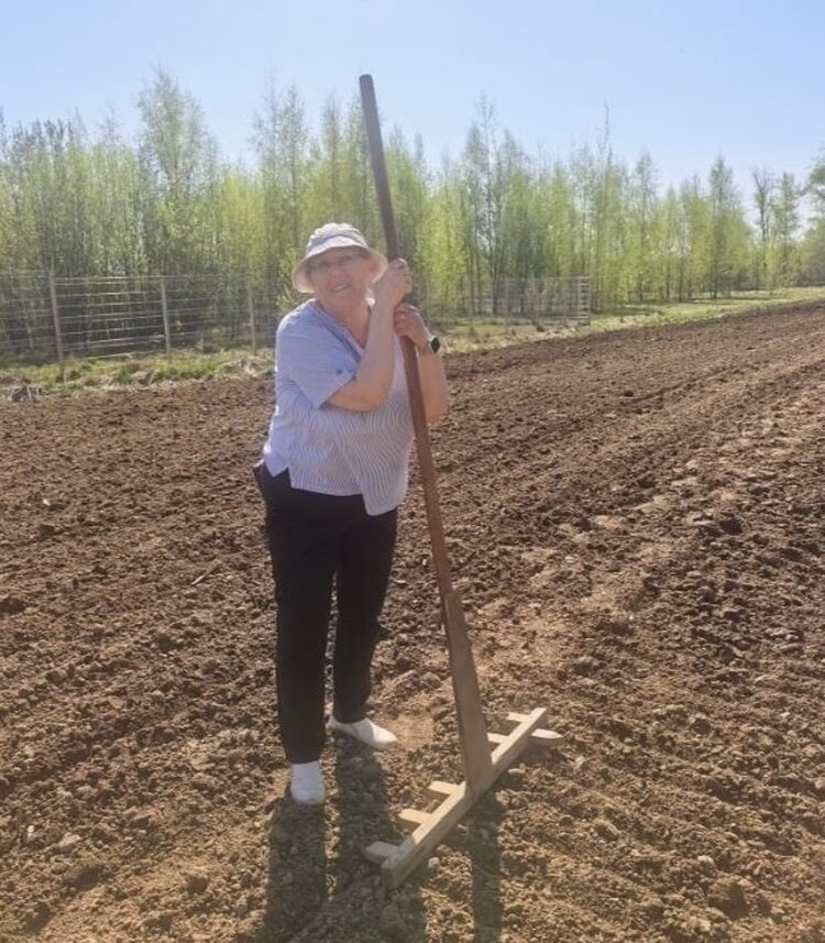 Фото: ФИЦ «Немчиновка».📷    Селекционеры Немчиновки вручную высевают перспективные гибридные комбинации зерновых и зернобобовых
