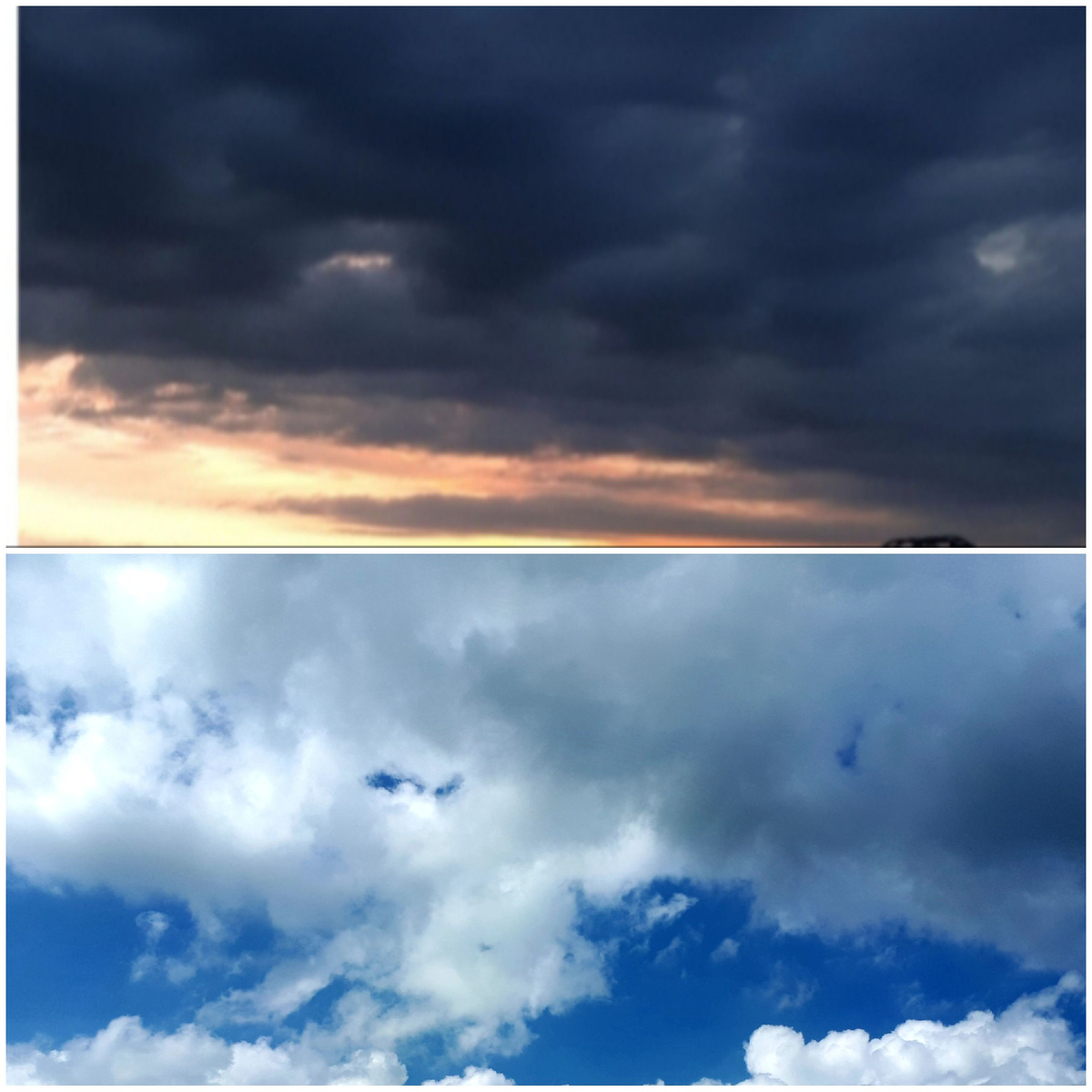 Коллаж автора 16.05.2026г.
