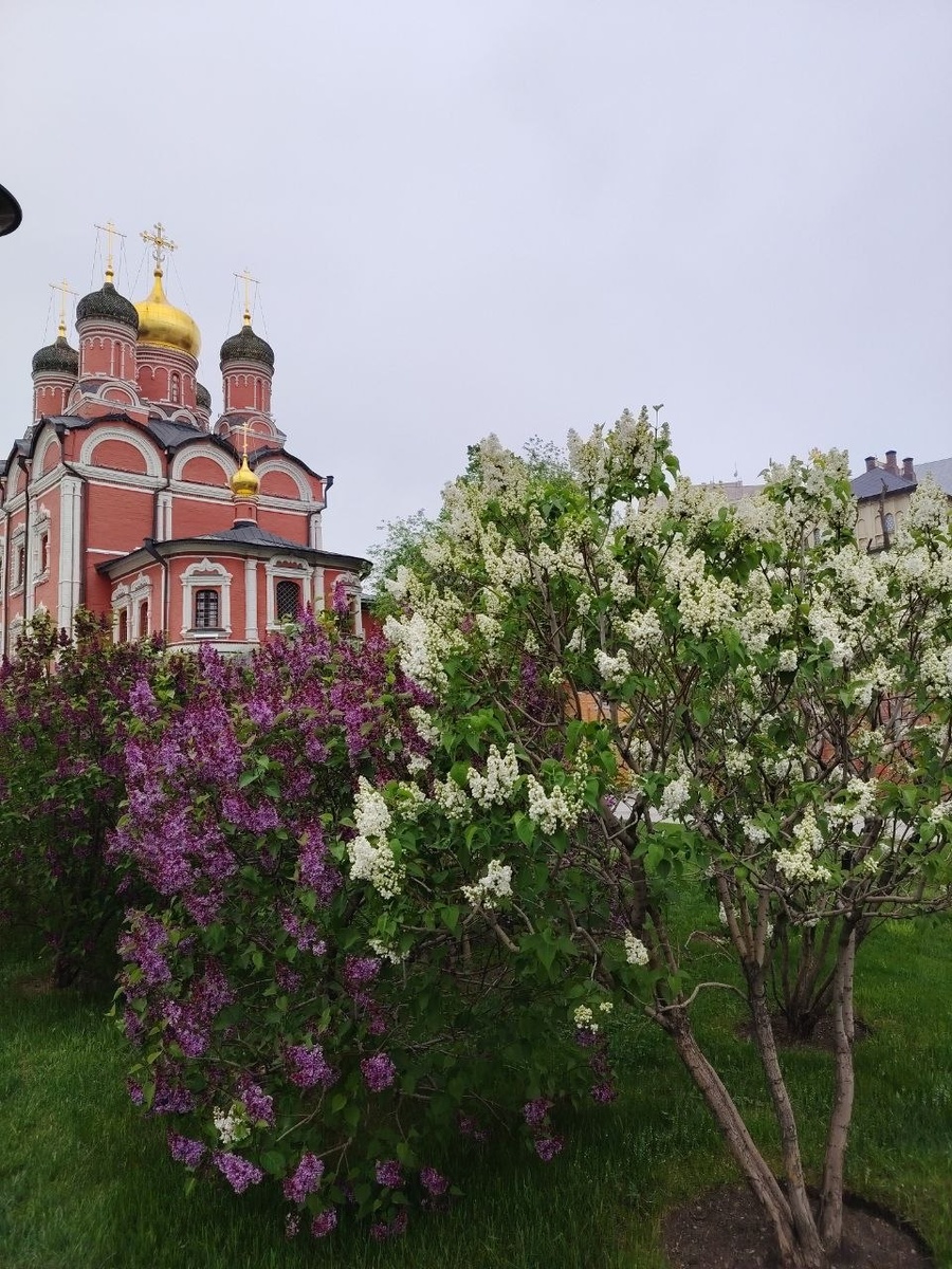 красиво и тихо у нас в центре столицы