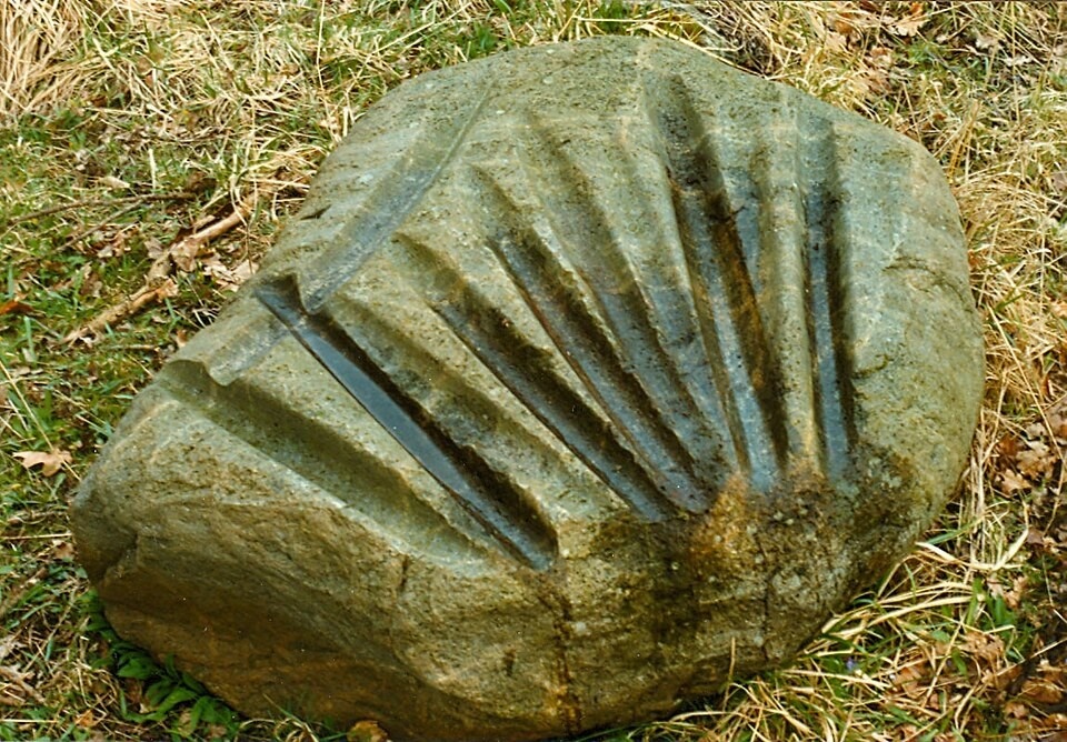 Источник: wikimedia.org