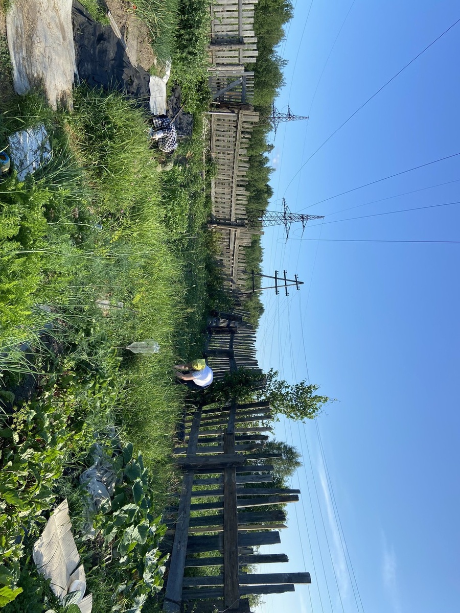    Фото предоставлено КП