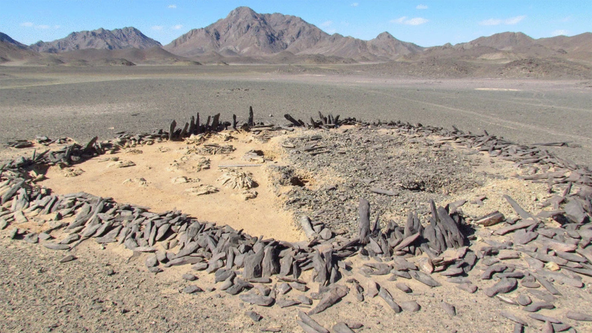 Фото: African Archaeological Review