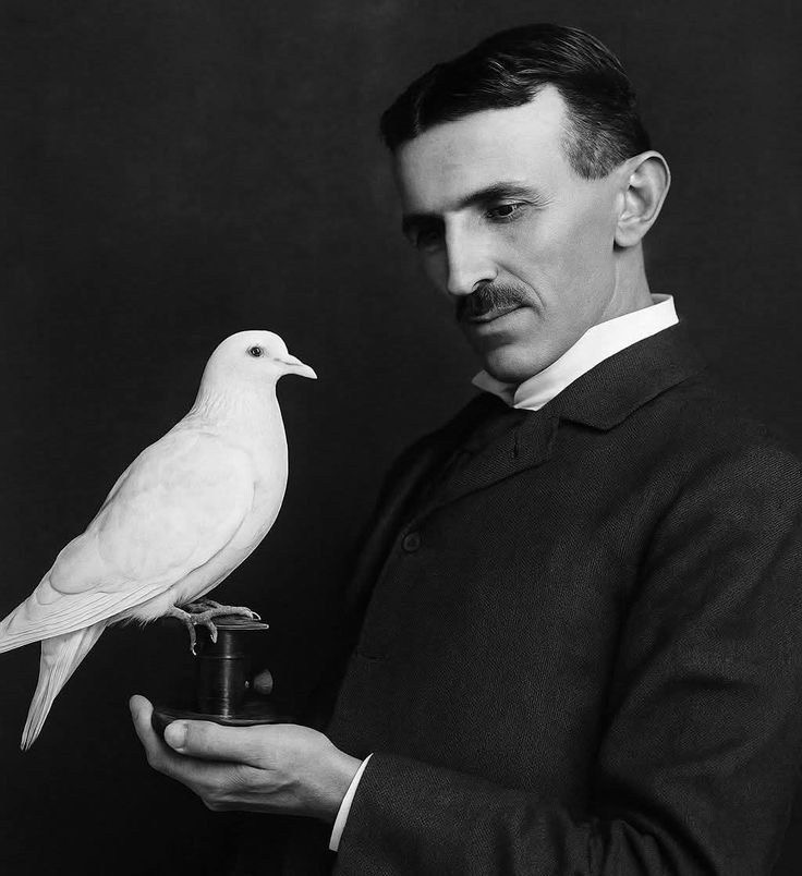 Никола Тесла и его «white dove»
