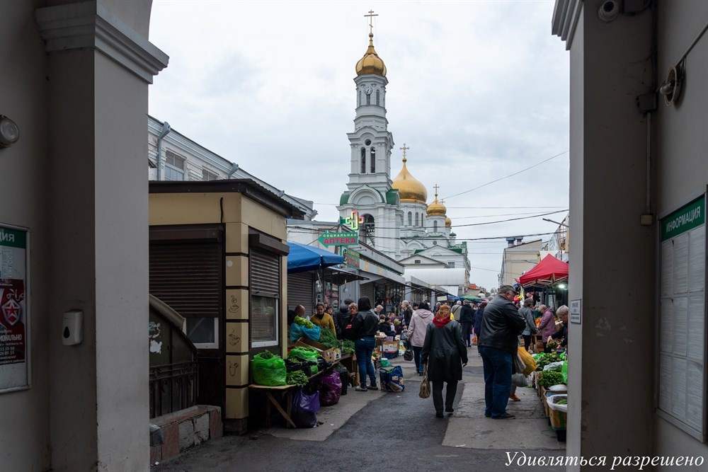 утро мокрого дня
