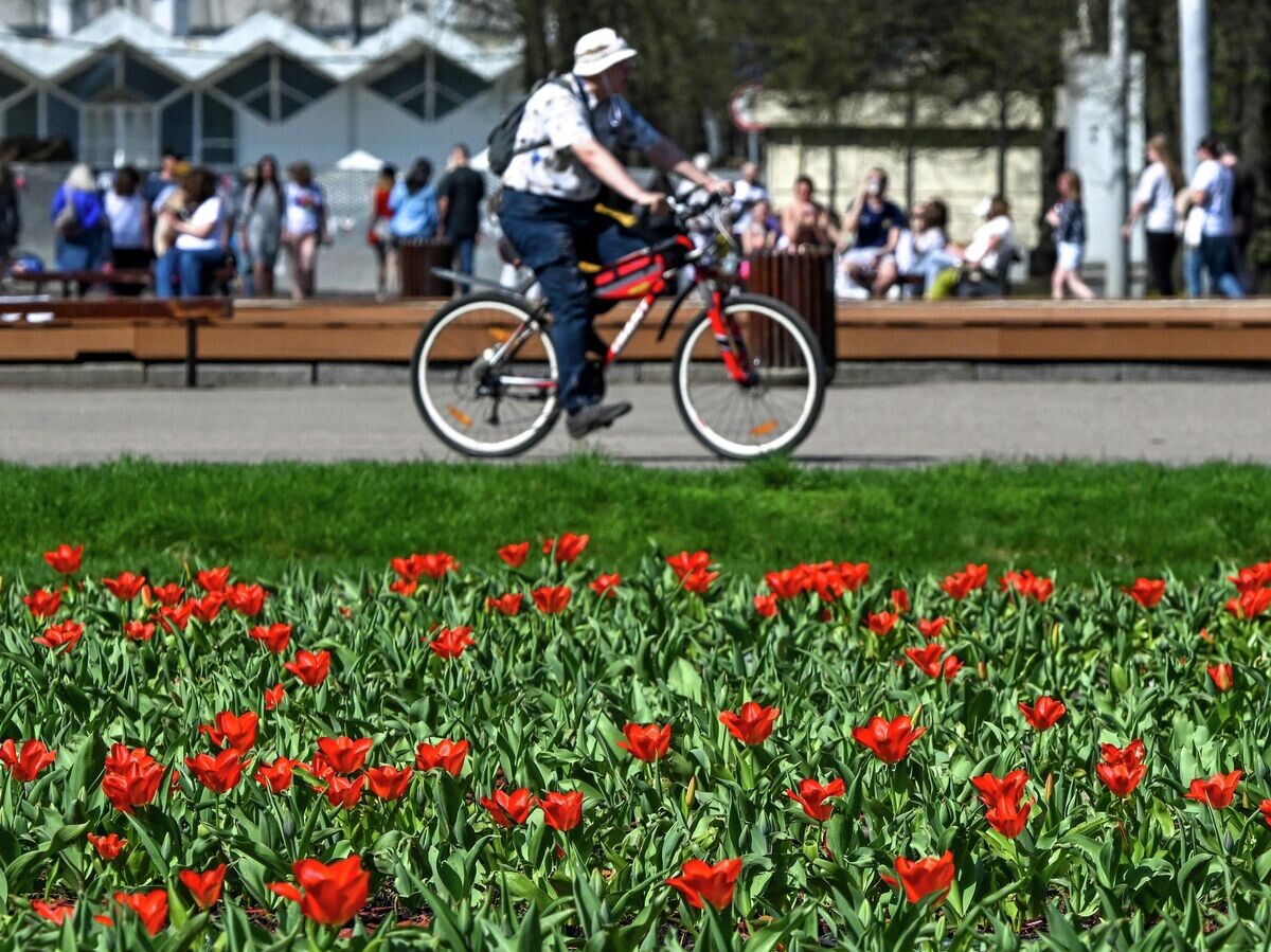    Теплая погода в Москве | © РИА Новости / Михаил Воскресенский