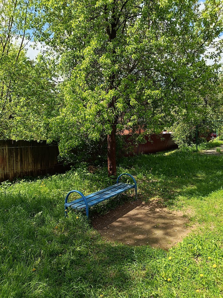 Фото автора.