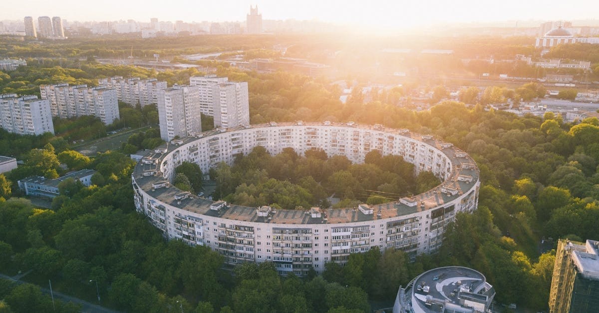    Фото: Pexels, @ALEXANDER IGREVSKY