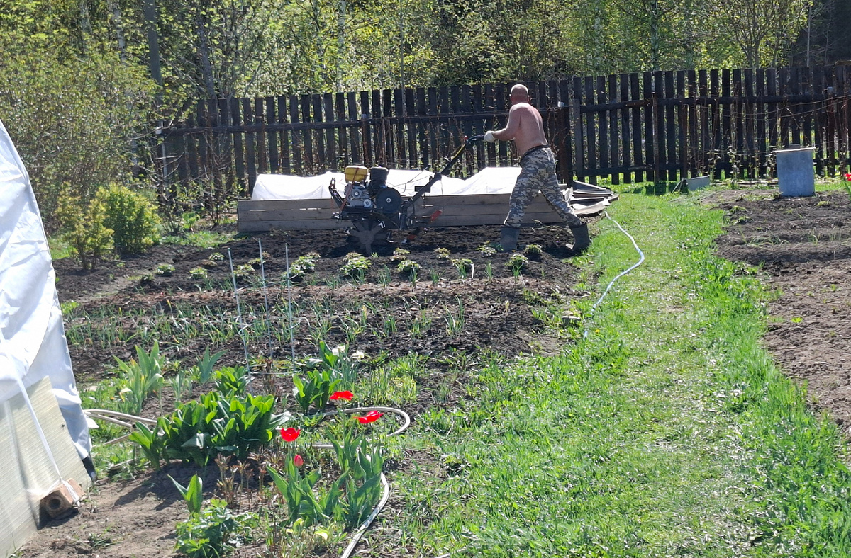 Работа началась.