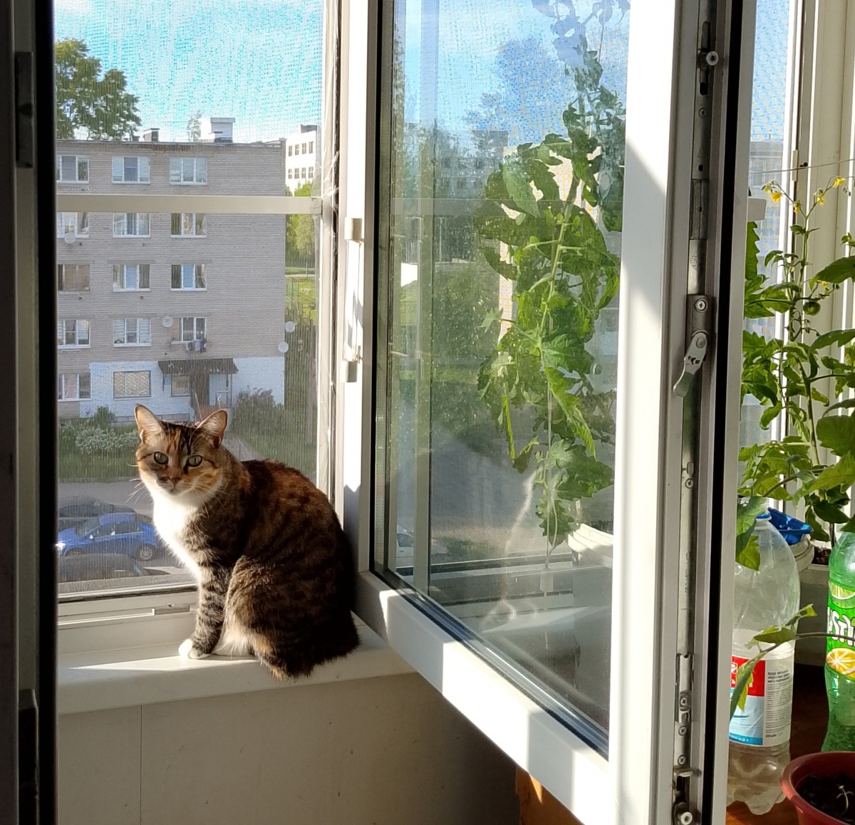 Лето уже близко!