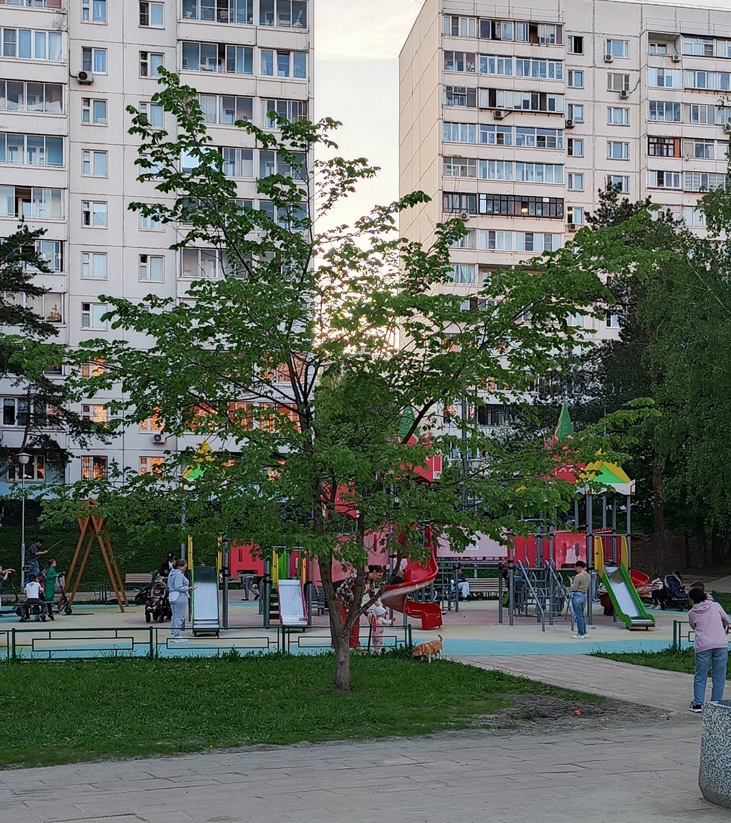 В нашем парке